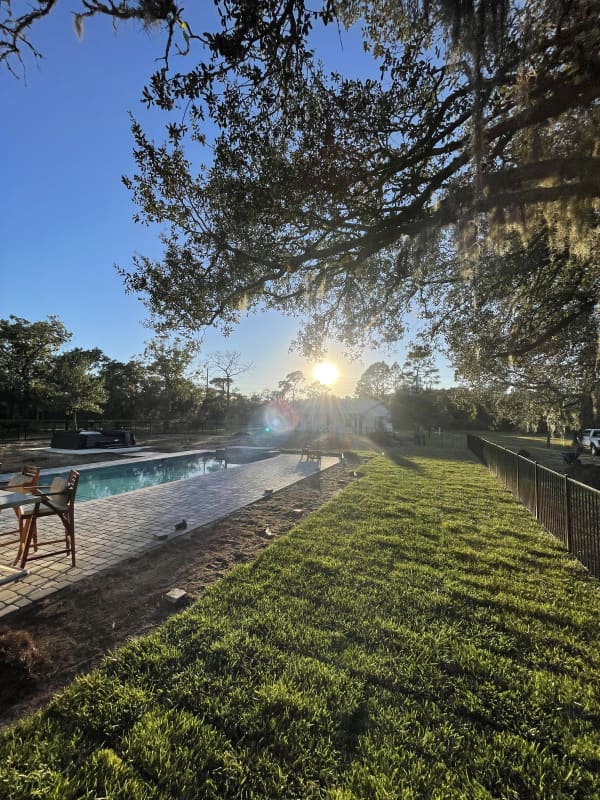 Fresh sod lawn St Augustine FL