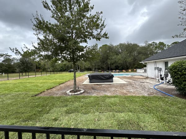 Professional sod Jacksonville