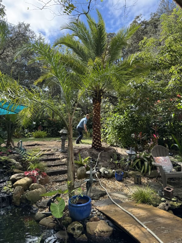 Complete landscaping Jacksonville