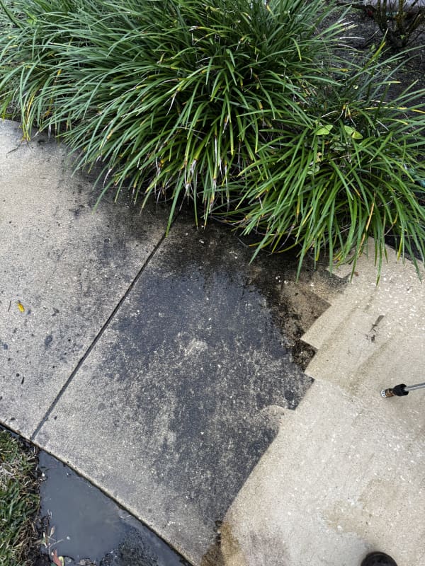 Pressure Washing Jacksonville FL - Driveway Cleaning