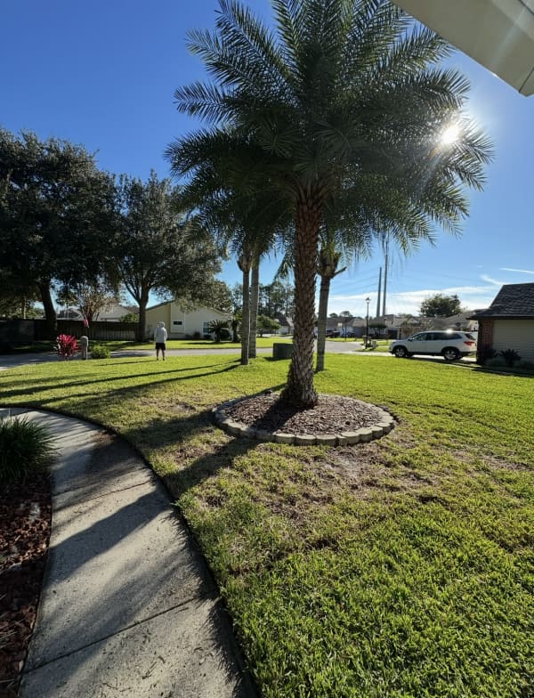 Before sod installation Jacksonville FL - bare yard