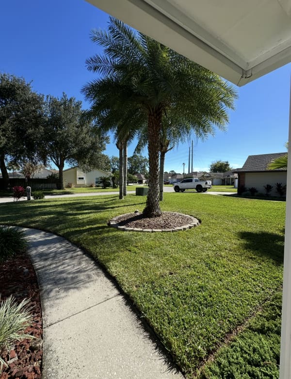 After sod installation Jacksonville FL - lush green lawn