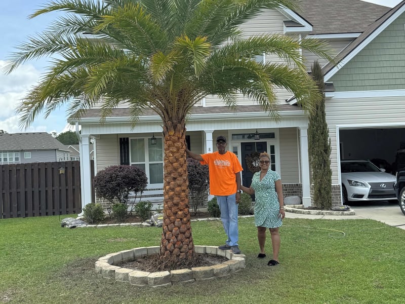 Expert Diamond-Cut Palm Trimming in St. Augustine & Jacksonville, FL
