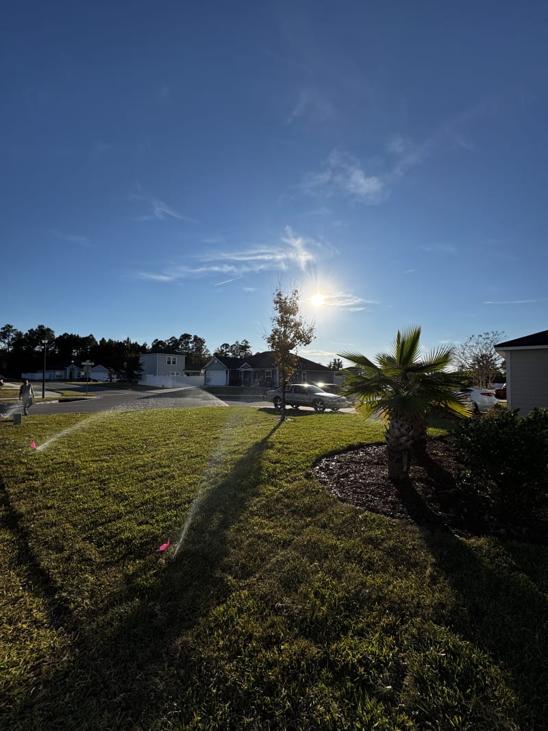 Landscaping close-up