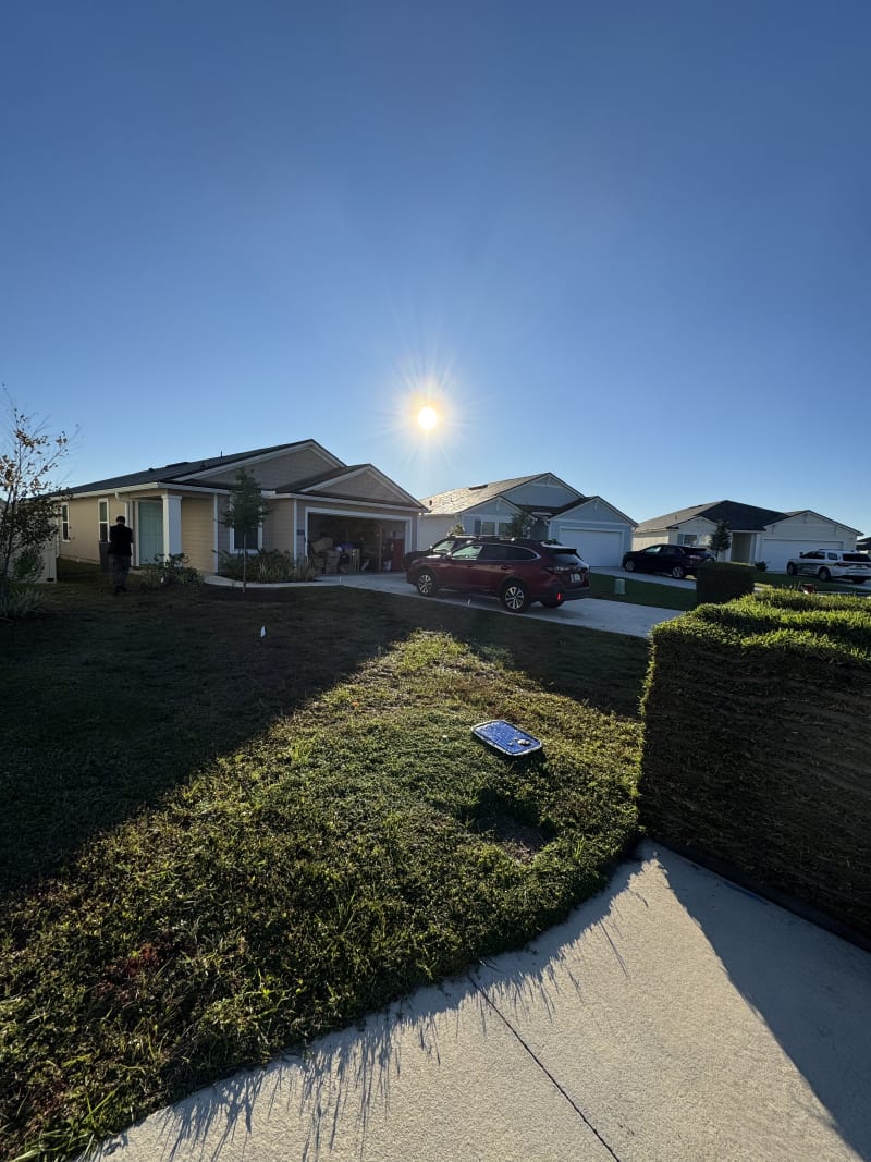 Palm and sod combination