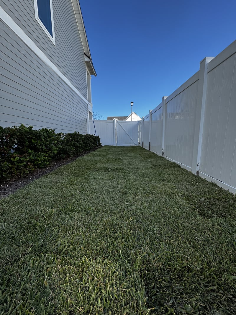Fresh sod backyard