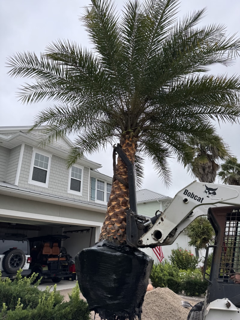 Sod and irrigation project