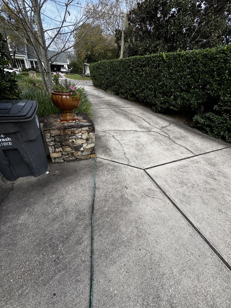 Sod and palm project