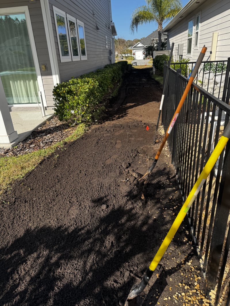 Palm and sod combination