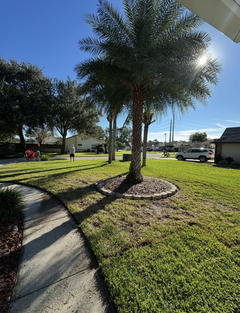 Sod installation before