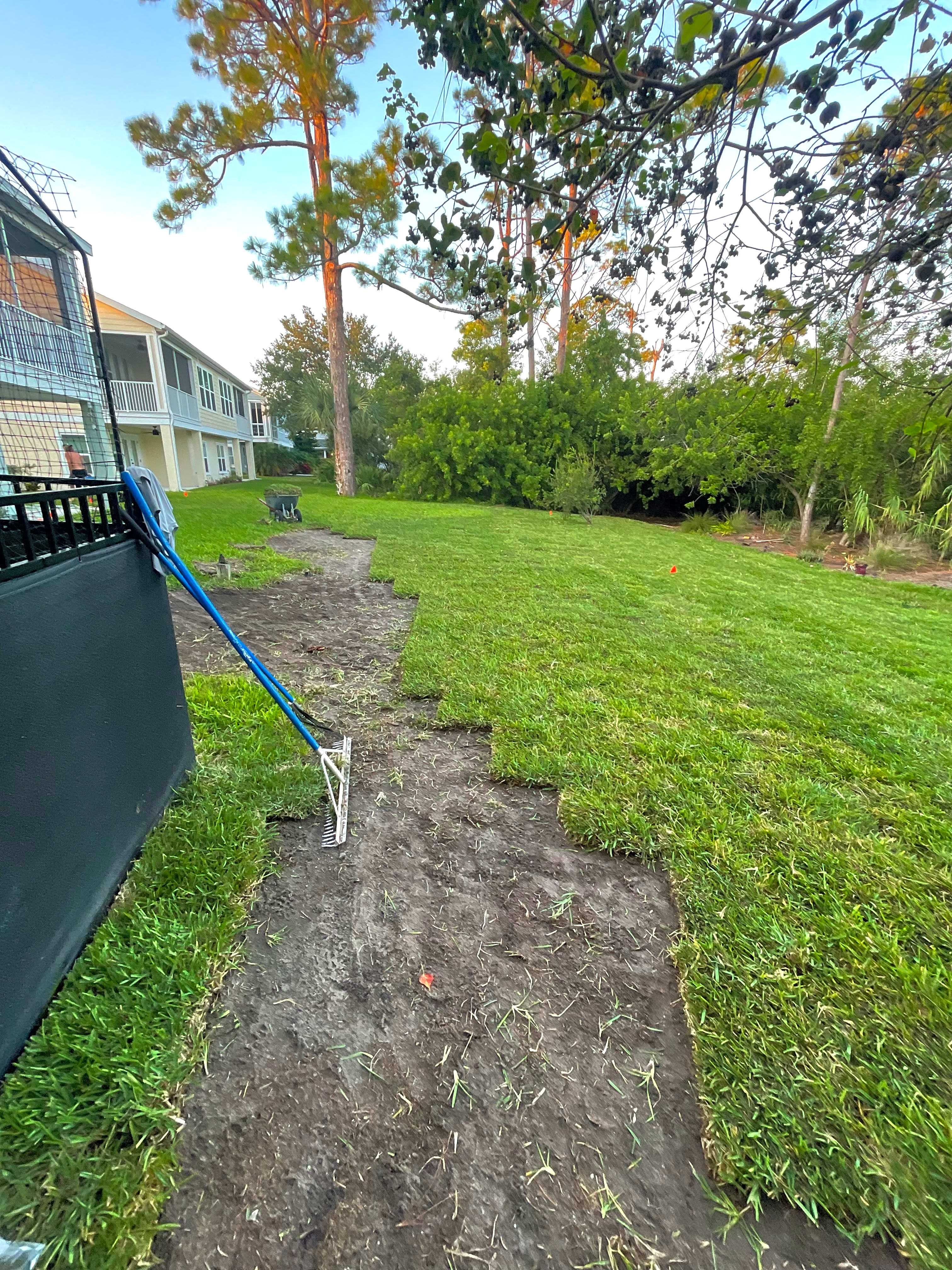 Beautiful Lawn Transformation in Jacksonville, FL