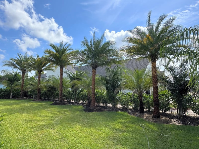 Commercial Lawn Project in Jacksonville, FL