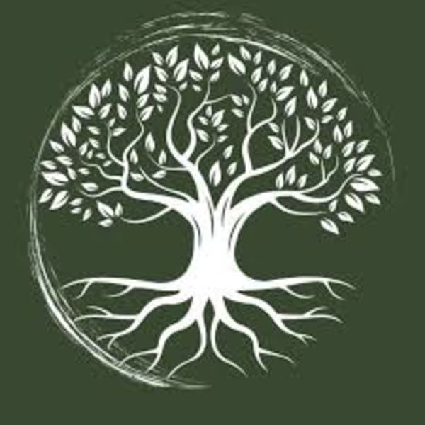 Metavision Institute