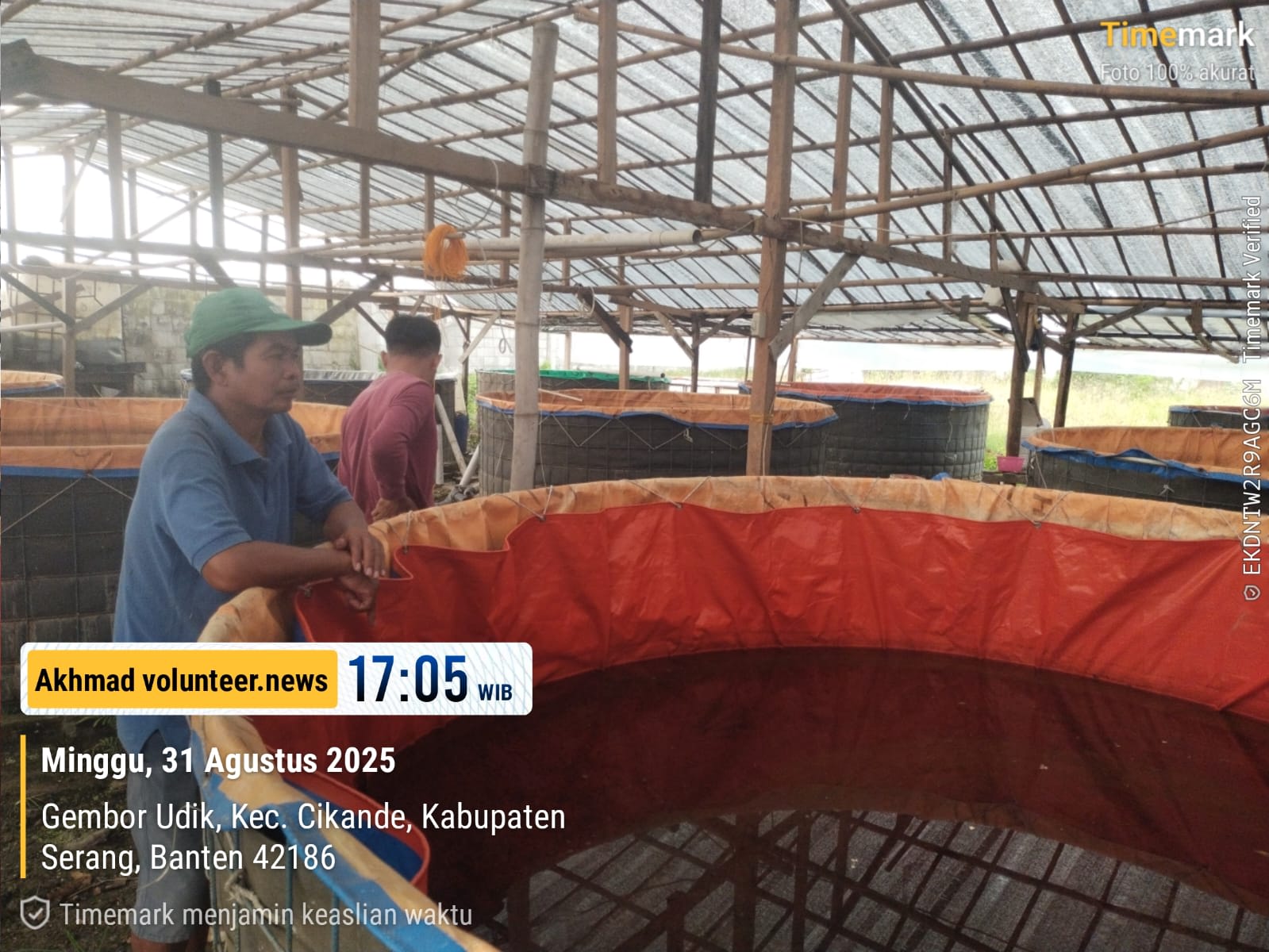 Jejak Ketahanan Program Pangan di Desa Gembor Udik Kec.Cikande : Dari Lumbung Pangan hingga Budidaya Ikan Air Tawar