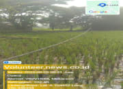 Kabel Listrik Menjuntai di Kec.Carenang Kab.Serang : Warga Terancam, PLN Abai ?