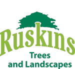 Ruskins Trees