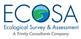 ECOSA