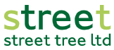 Street Tree