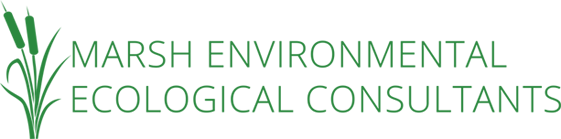 Marsh Environmental Ecological Consultants