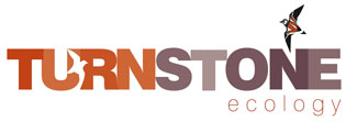 Turnstone Ecology