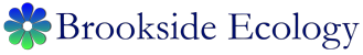 Brookside Ecology