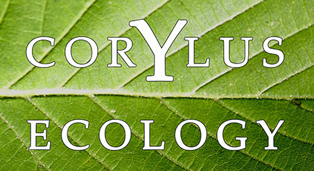 Corylus Ecology