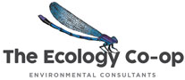The Ecology Co-op Kent