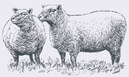 Low Auldgirth Steading