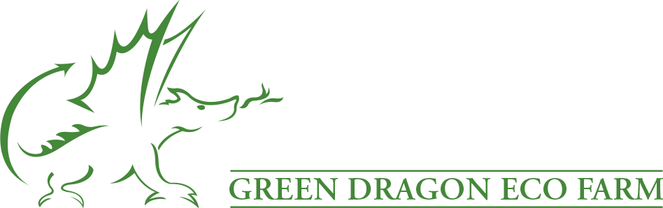 Green Dragon Rare Breeds Farm & Eco Centre