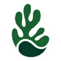 Kelpi 