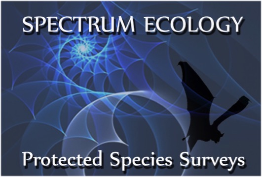 Spectrum Ecology
