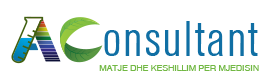 A Consultant Shpk