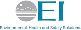 E I Group