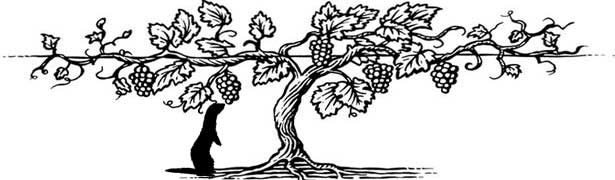Michaud Farms LLC
