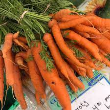 Wild Carrot Farm, LLC.