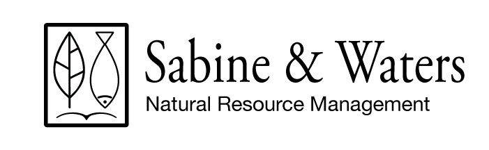 Sabine & Waters Inc