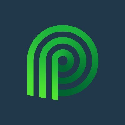 Palmetto