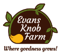 Evans Knob Farm