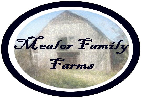 Mealor Family Gardens