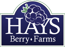 Hays Berry Farms