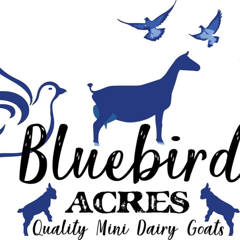 Bluebird Acres Farm