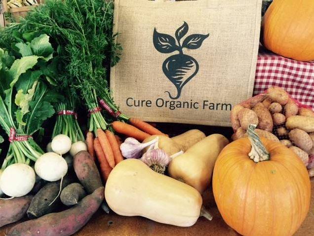 Cure Organic Farm