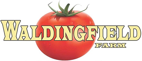Waldingfield Farm