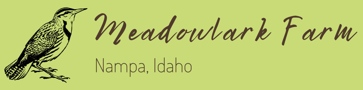 Meadowlark Farm