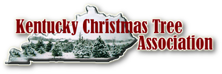 Cathole Bend Christmas Trees