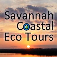 Savannah Coastal Ecotours