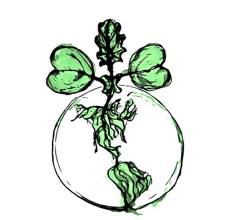 Backyrd's Harvest
