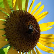 Grand Beginnings Organic Farming