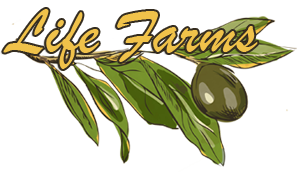 Life Farms 
