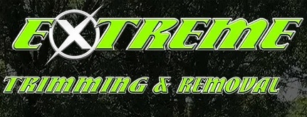 Extreme Tree Service